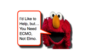 ECMO not Elmo Image.png